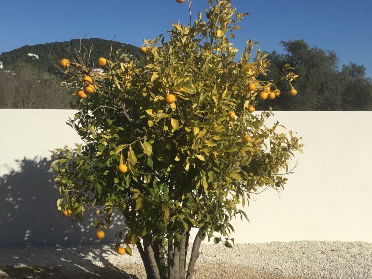 Casita In Javea With Garden And Pool - Dog Friendly! Zewnętrze zdjęcie